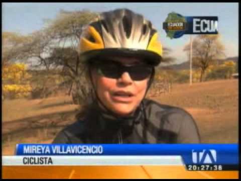 Ecuador por dentro: Florecimiento de los guayacanes