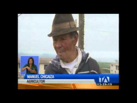 Ceniza del volcán Tungurahua afecta agricultura y ganadería del Guano