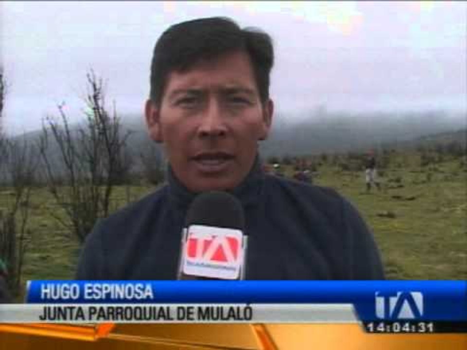 Comunidad intenta recuperar campos perdidos por incendios