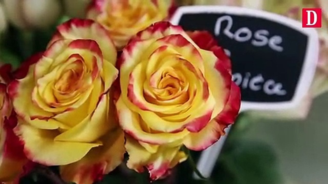 Tarbes, le Flower Truck de Marie