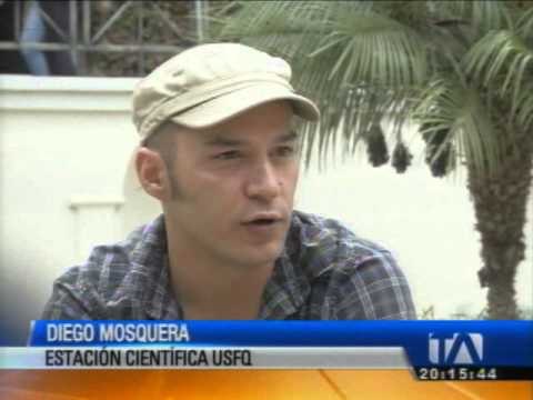 Impresionantes imágenes nunca antes vistas de la biodiversidad del Yasuní