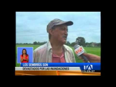 Damnificados inician limpieza de aéreas afectadas por inundaciones en Babahoyo