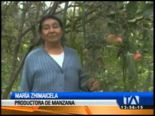 Sigsis es la tierra de las manzanas