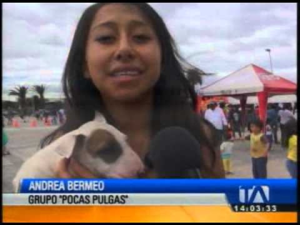 En Ibarra se desarrolló el festival de canes