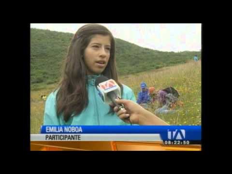 Más de 20 mil árboles fueron sembrados en siete ciudades del país