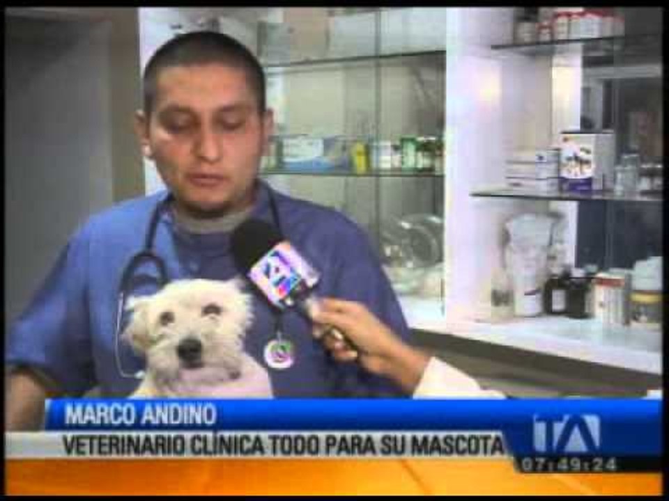 Campaña de vacunación y esterilización de mascotas en Quito