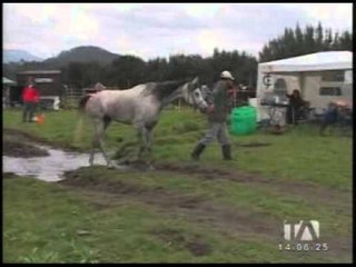 Se realizó carrera de jinetes en Cotopaxi