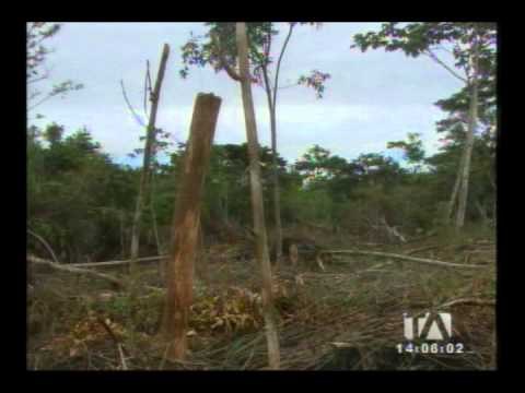 Aguas del río Upano están contaminadas