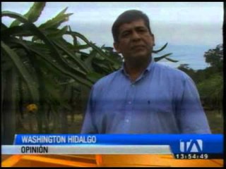 Palora impulsa el cultivo de Pitajaya