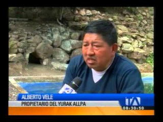 Primer pingüino de Humboldt nacido a más de 2600 metros de altura buscar estar en el libro Guiness