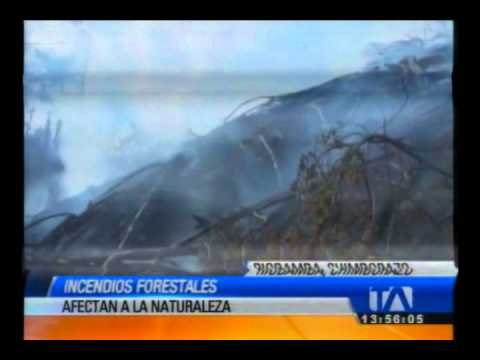 Incendios afectan ambiente en Chimborazo