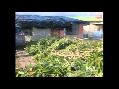 Así quedaron las zonas afectadas por el tornado de este martes