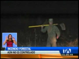 Descargar video: Incendio forestal afecta a 60 hectáreas de campo