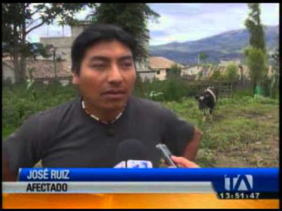 Canes que atacan al ganado serán llevados a centros de adopción