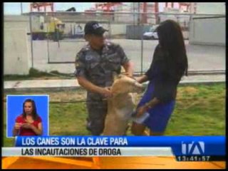 Los canes son la clave para la incautación de droga