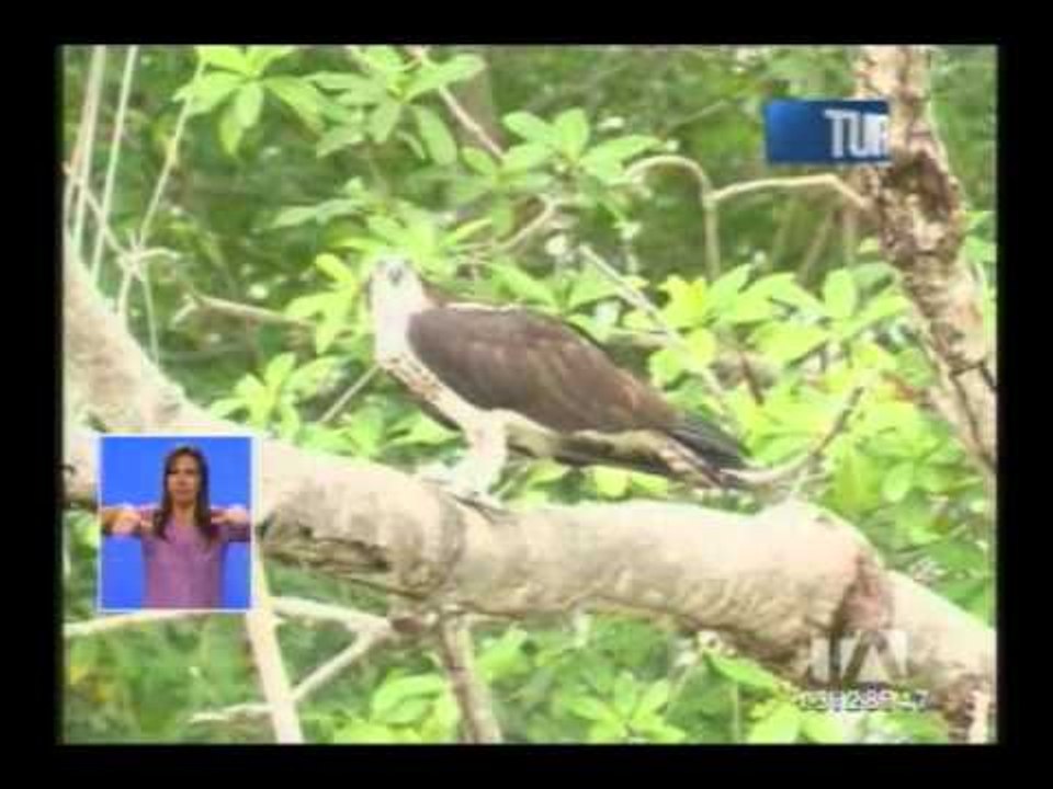 Este Carnaval visite la reserva ecológica Manglares Churute