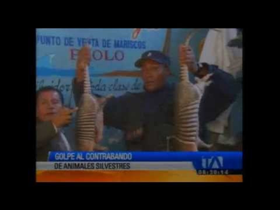 Policía da golpe al contrabando de animales silvestres