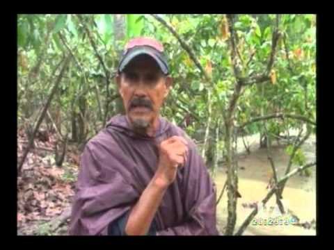 Noticiero 24 Horas, lunes 16 de marzo del 2015 (Emisión Estelar)