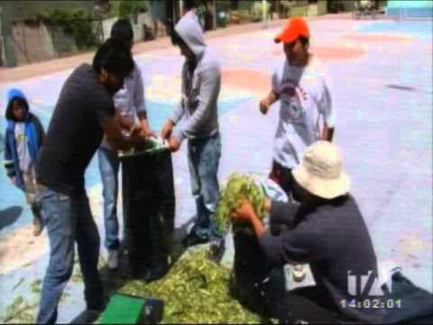 Ganaderos de Chimborazo están preocupados por la actividad del Tungurahua