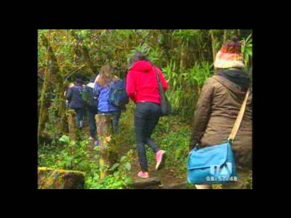 15 elevaciones se pueden observar en la Ruta de los Volcanes