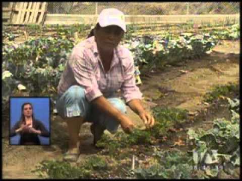 Conozca el huerto de la comunidad de Santa Inés