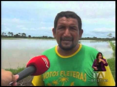 Babahoyo y Montalvo están afectados por lluvias y desbordamiento de ríos