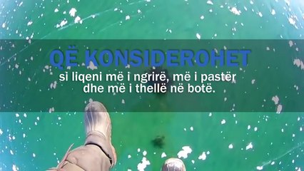 Ky liqen është shëndruar në një kristal të vërtetë