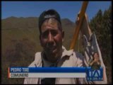 Incendio provocado deja daños en la flora y fauna en Chimborazo