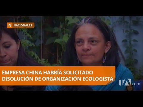Ministerio del Ambiente notificó la disolución de la organización 'Acción Ecológica' - Teleamazonas
