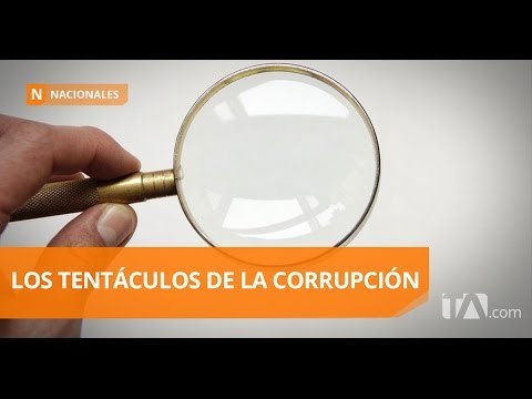 Informe determinó decenas de operaciones inusuales - Teleamazonas