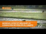 Lenin Moreno propone una “revolución rural” - Teleamazonas