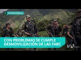 Continúa desmovilización de la guerrilla de las FARC - Teleamazonas