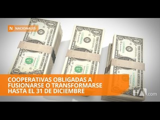 Descargar video: 400 cooperativas estarían obligadas a fusionarse o transformarse - Teleamazonas