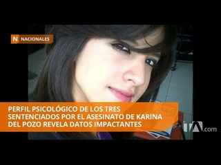 Las pruebas que no fueron tomadas en cuenta en el caso Karina del Pozo