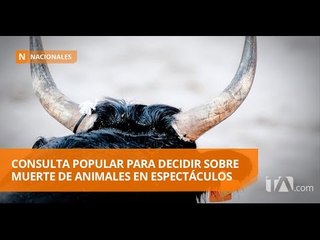 Consulta popular para decidir sobre muerte de animales en espectáculos
