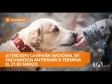 Campaña nacional de vacunación antirrábica termina el 31 de marzo