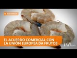 Crecen las exportaciones a la Unión Europea - Teleamazonas