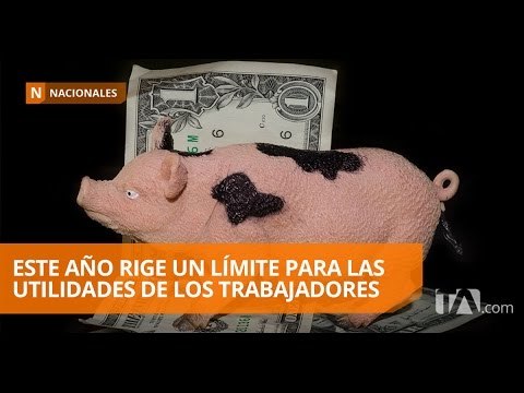 Límite a las utilidades de los trabajadores no afectará a cargas familiares - Teleamazonas