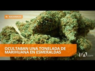 Tải video: Fuerzas Armadas decomisan una tonelada de marihuana - Teleamazonas