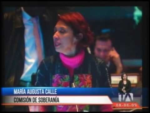 Código Orgánico de Entidades de Seguridad Ciudadana fue aprobado