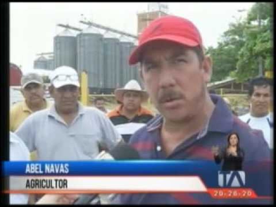 Arroceros exigen que UNA compre la sobreproducc...