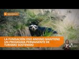 Programa de turismo sostenido reduce riesgos para osos andinos