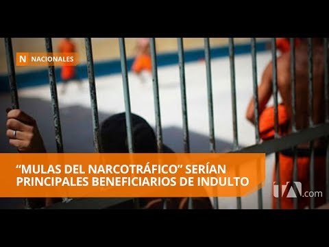 Coordinan acciones para determinar número de beneficiarios de indulto - Teleamazonas