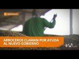 Arroceros piden intervención urgente al nuevo Gobierno - Teleamazonas