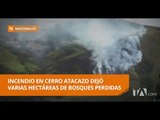 Primer incendio forestal del verano 2017 afecta cerro Atacazo - Teleamazonas