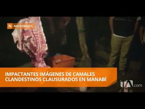 Tres camales clandestinos fueron clausurados cerca de Crucita