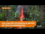 La Policía destruyó dos plantíos de hoja de coca en Esmeraldas - Teleamazonas
