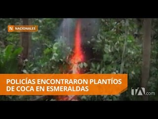 Скачать видео: La Policía destruyó dos plantíos de hoja de coca en Esmeraldas - Teleamazonas