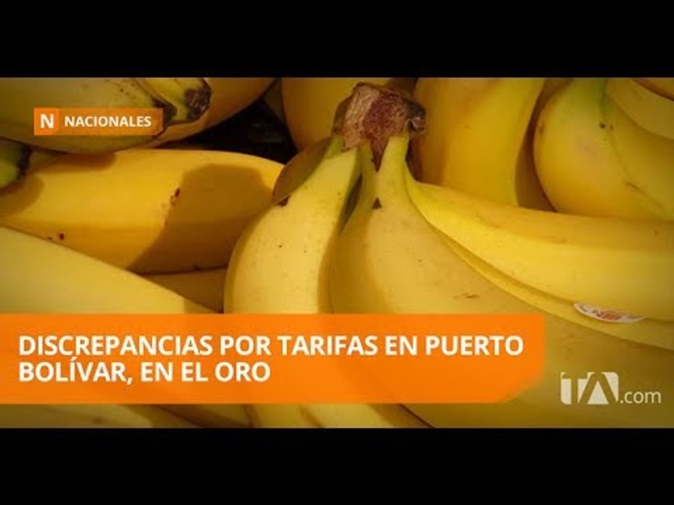 Persisten discrepancias por aumento de tarifas en terminal del Oro - Teleamazonas