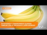 Exportadores bananeros piden cita al presidente Moreno - Teleamazonas